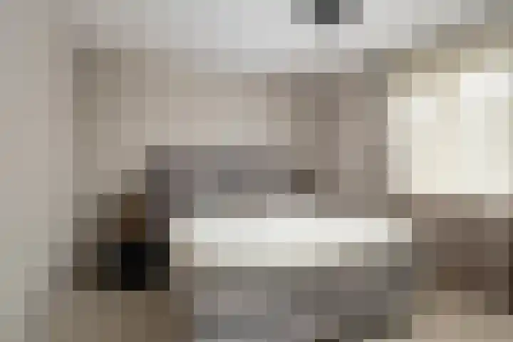 Johannes Jongejanlaan 7 Hekelingen thumbnail 35