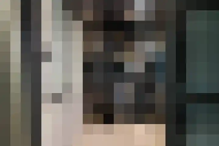 Johannes Jongejanlaan 7 Hekelingen thumbnail 37