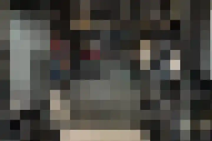 Johannes Jongejanlaan 7 Hekelingen thumbnail 38
