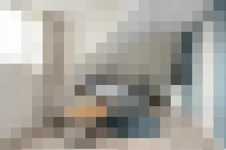 Johannes Jongejanlaan 7 Hekelingen thumbnail 41