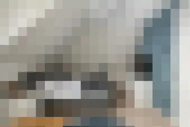 Johannes Jongejanlaan 7 Hekelingen thumbnail 42