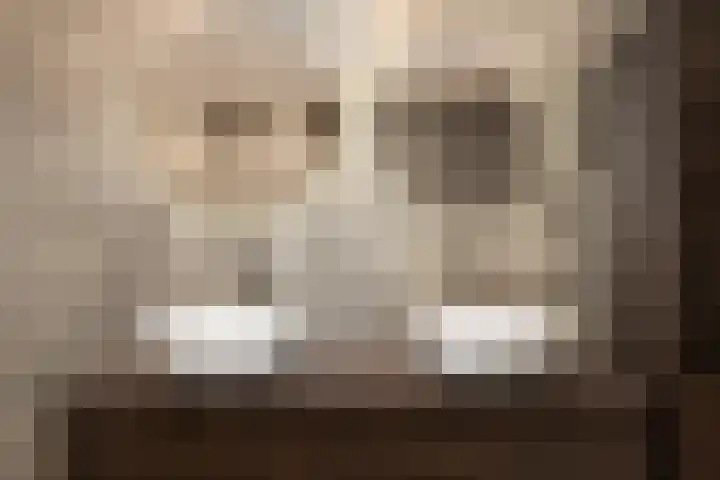 Johannes Jongejanlaan 7 Hekelingen thumbnail 44
