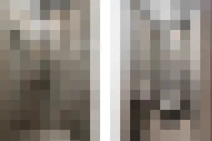 Johannes Jongejanlaan 7 Hekelingen thumbnail 45