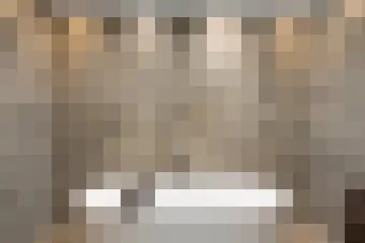 Johannes Jongejanlaan 7 Hekelingen thumbnail 46