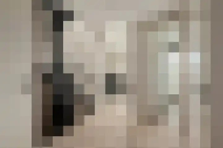 Johannes Jongejanlaan 7 Hekelingen thumbnail 49