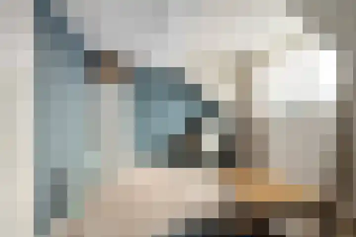 Johannes Jongejanlaan 7 Hekelingen thumbnail 50