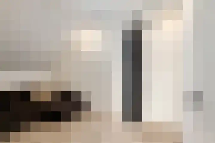 Johannes Jongejanlaan 7 Hekelingen thumbnail 51