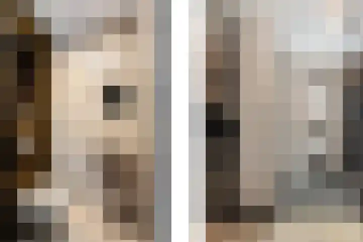 Johannes Jongejanlaan 7 Hekelingen thumbnail 53
