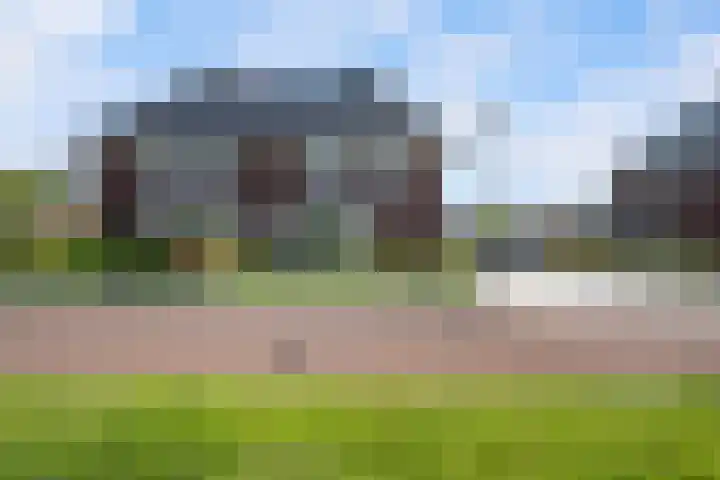 Johannes Jongejanlaan 7 Hekelingen thumbnail 61