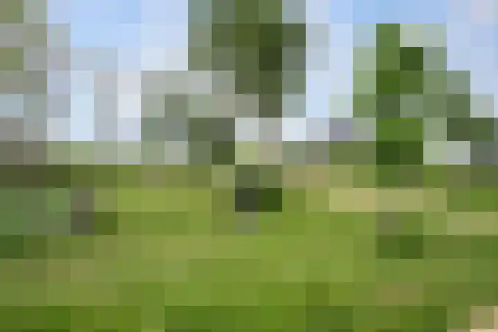 Johannes Jongejanlaan 7 Hekelingen thumbnail 65