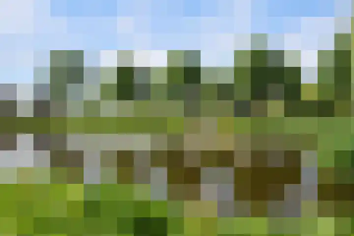 Johannes Jongejanlaan 7 Hekelingen thumbnail 66