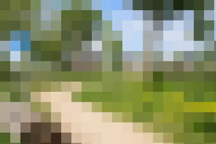Johannes Jongejanlaan 7 Hekelingen thumbnail 67