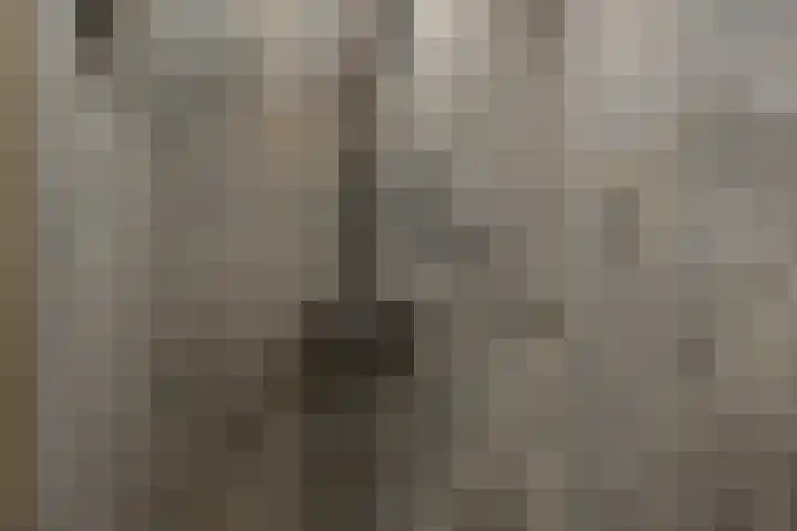 Johannes Jongejanlaan 7 Hekelingen thumbnail 68