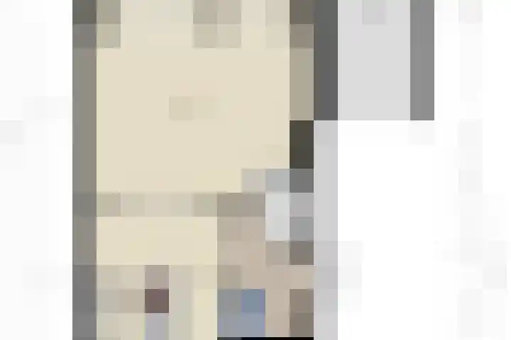 Johannes Jongejanlaan 7 Hekelingen thumbnail 70