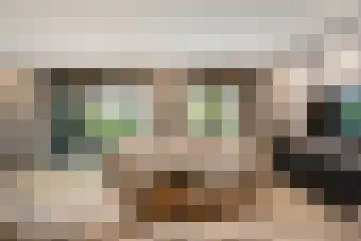 Johannes Jongejanlaan 7 Hekelingen thumbnail 8