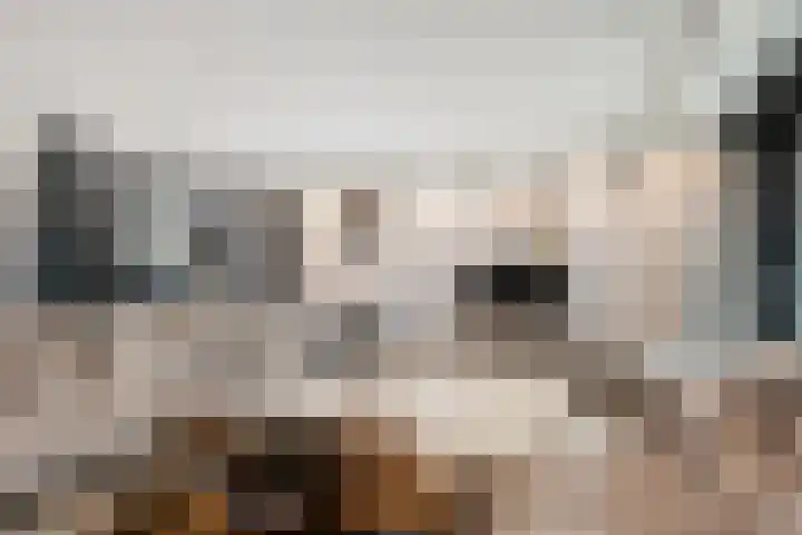 Johannes Jongejanlaan 7 Hekelingen thumbnail 9