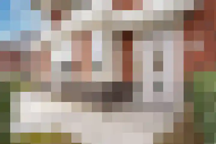Johannes Jongejanlaan 9 Hekelingen thumbnail 10