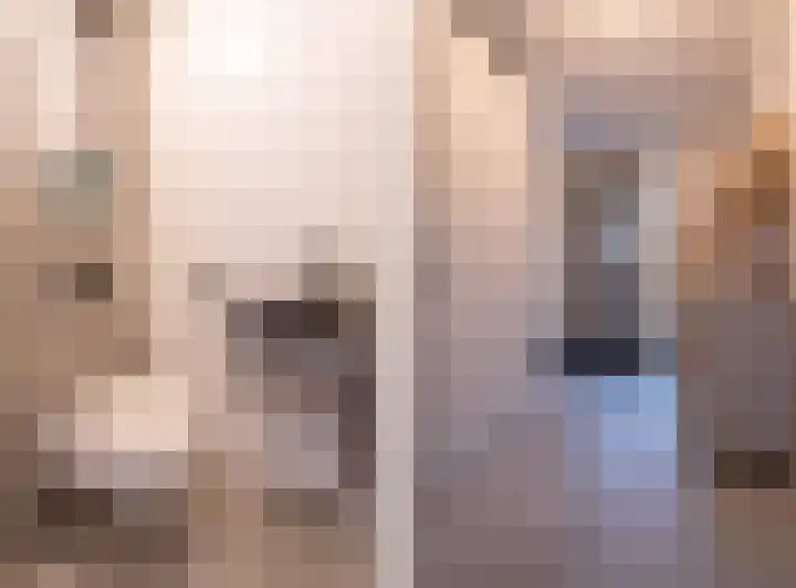 Johannes Jongejanlaan 9 Hekelingen thumbnail 12