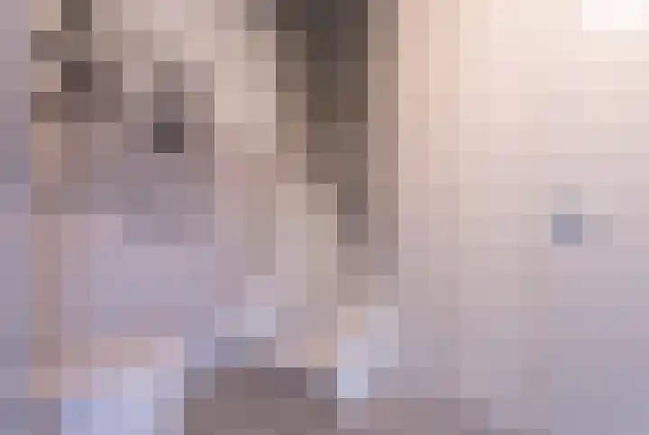 Johannes Jongejanlaan 9 Hekelingen thumbnail 13
