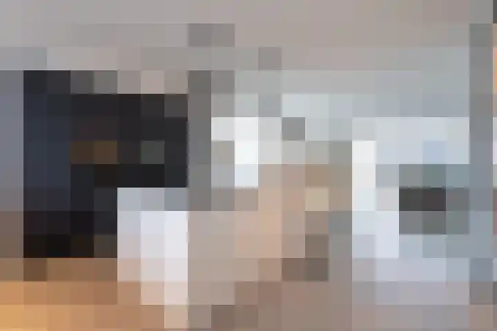 Johannes Jongejanlaan 9 Hekelingen thumbnail 14