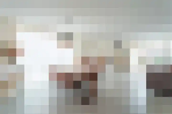 Johannes Jongejanlaan 9 Hekelingen thumbnail 16