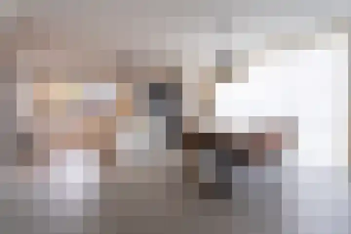 Johannes Jongejanlaan 9 Hekelingen thumbnail 25