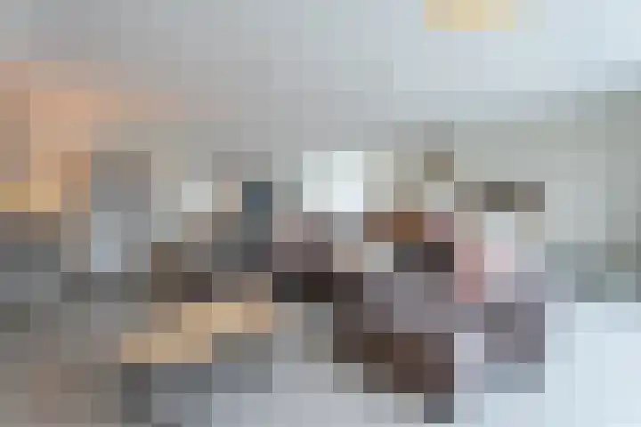 Johannes Jongejanlaan 9 Hekelingen foto 3