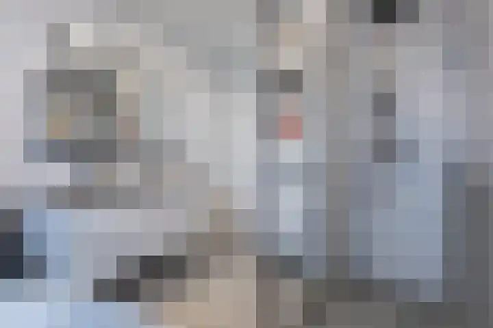 Johannes Jongejanlaan 9 Hekelingen thumbnail 33
