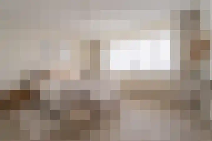 Johannes Jongejanlaan 9 Hekelingen thumbnail 34