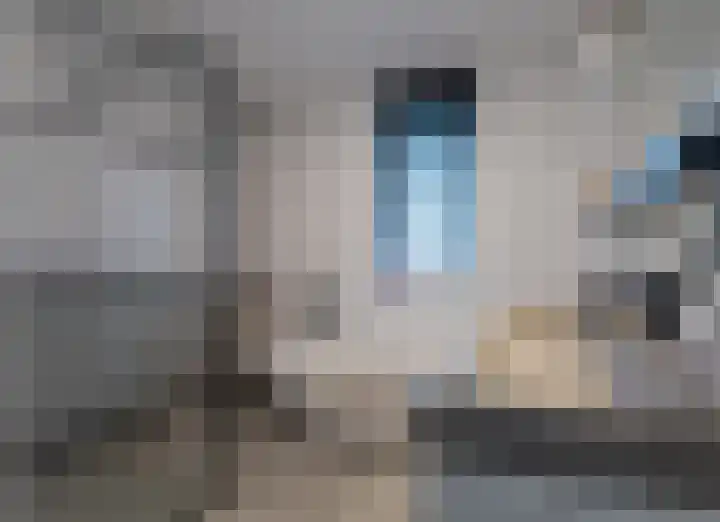 Johannes Jongejanlaan 9 Hekelingen thumbnail 4