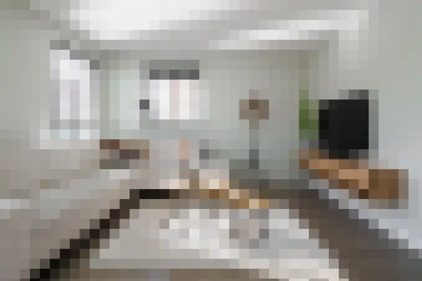 Johannes Kamphuisstraat 33 Vriezenveen thumbnail 13