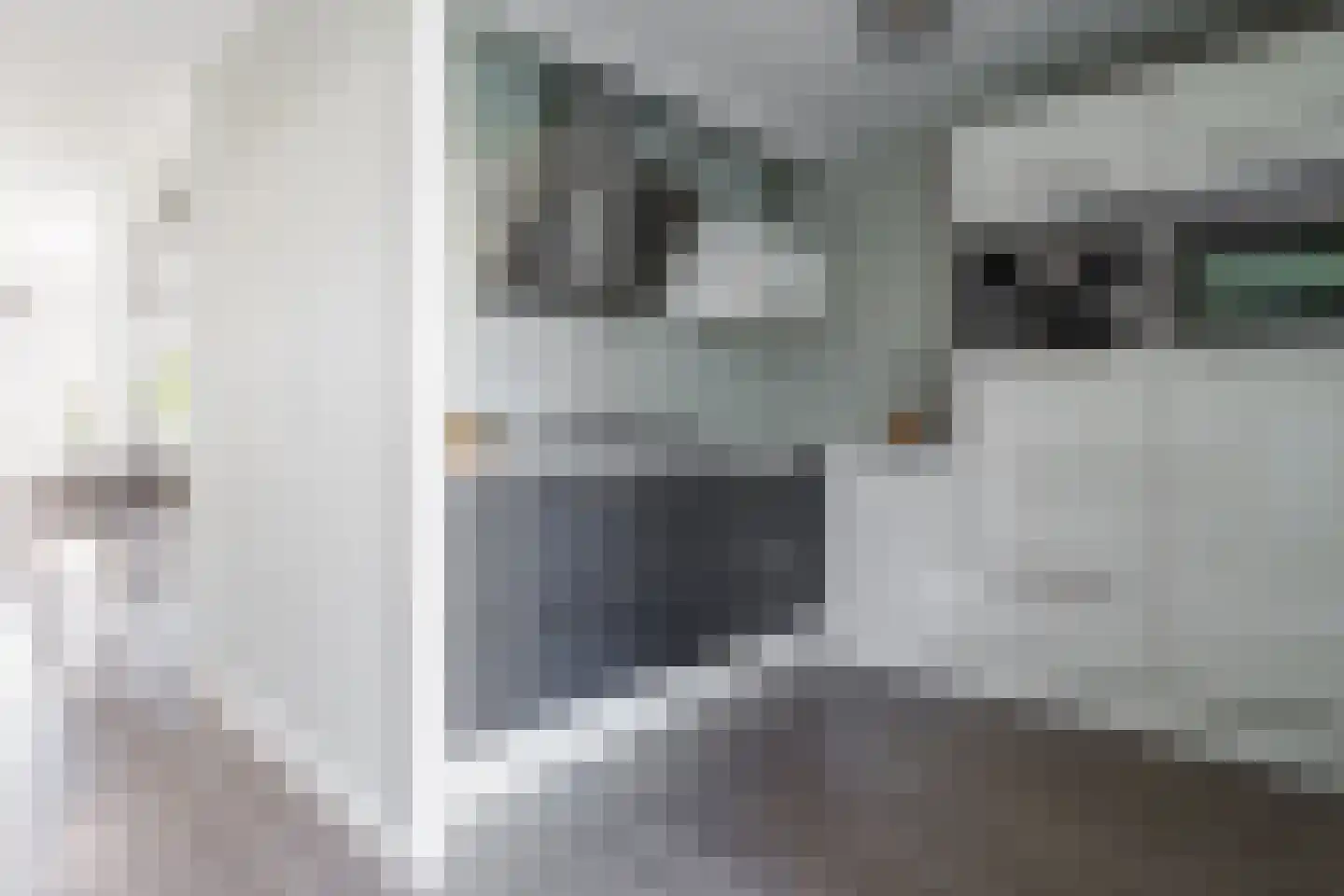 Johannes Kamphuisstraat 33 Vriezenveen thumbnail 19