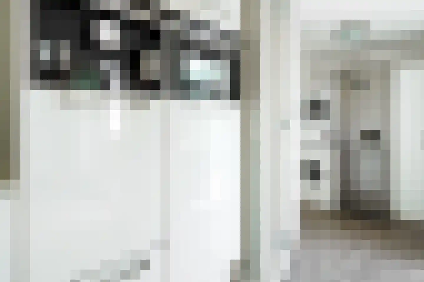 Johannes Kamphuisstraat 33 Vriezenveen thumbnail 22