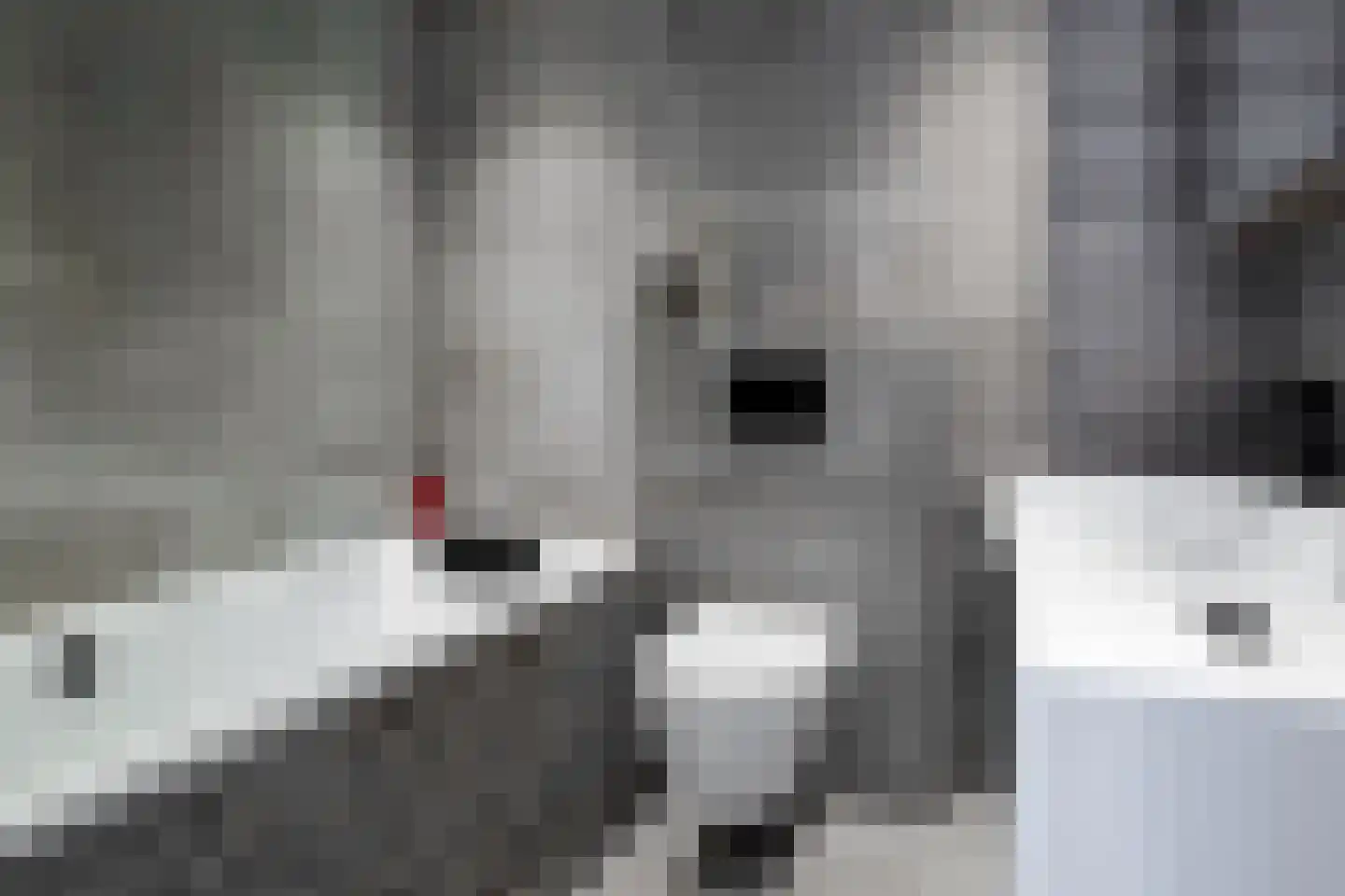 Johannes Kamphuisstraat 33 Vriezenveen thumbnail 32