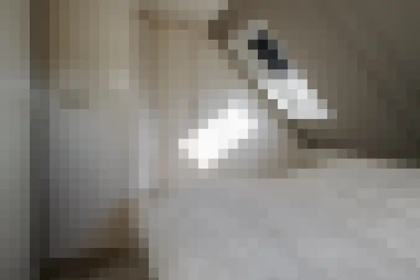 Johannes Kamphuisstraat 33 Vriezenveen thumbnail 35