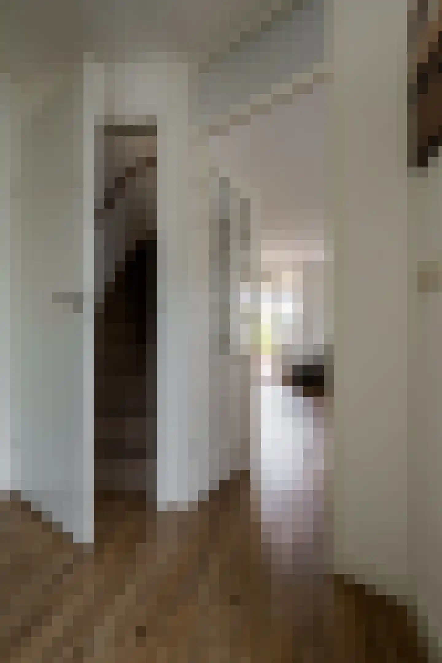 Johannes Kamphuisstraat 5 Vriezenveen thumbnail 19