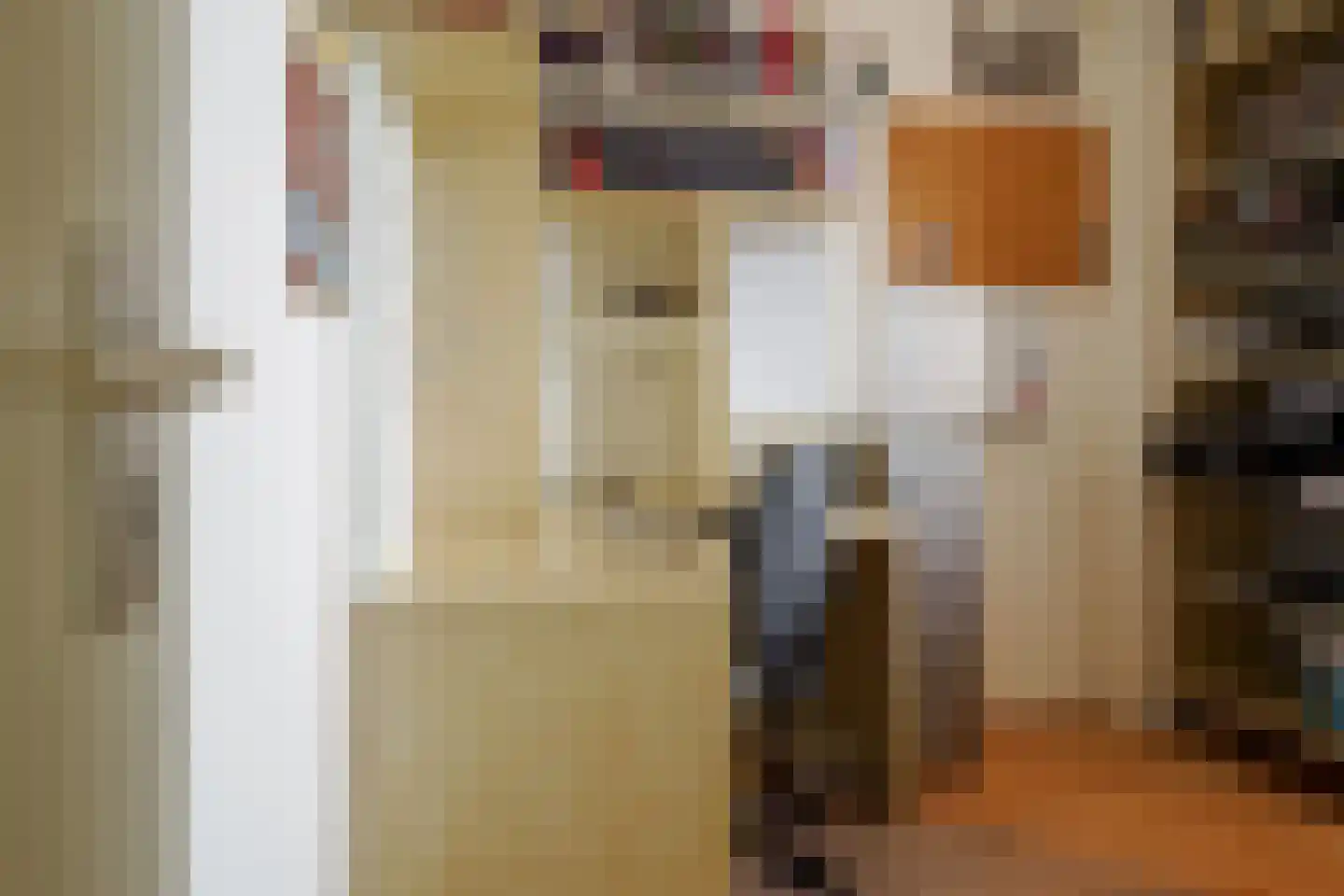 Johannes Kamphuisstraat 5 Vriezenveen thumbnail 24