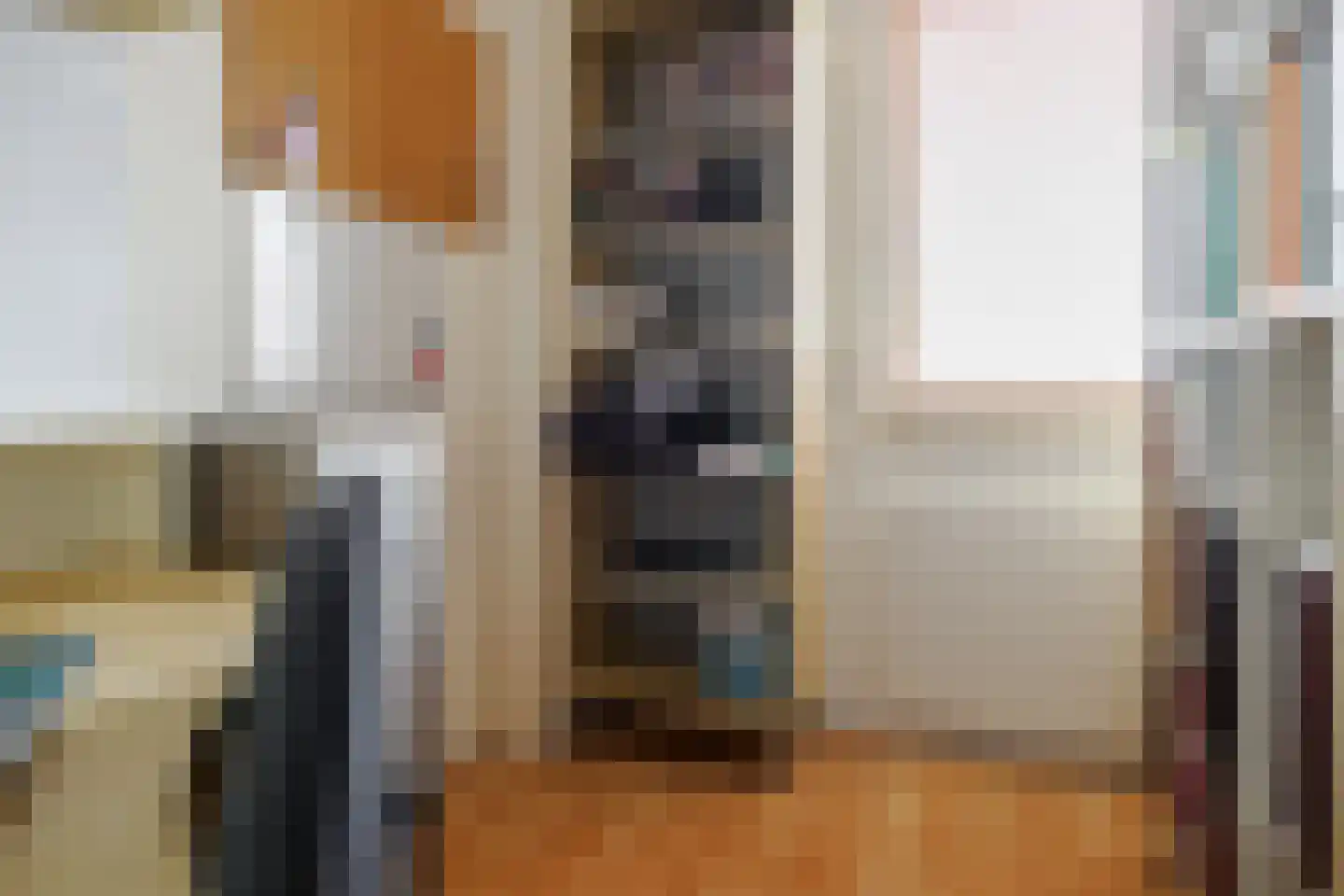 Johannes Kamphuisstraat 5 Vriezenveen thumbnail 25