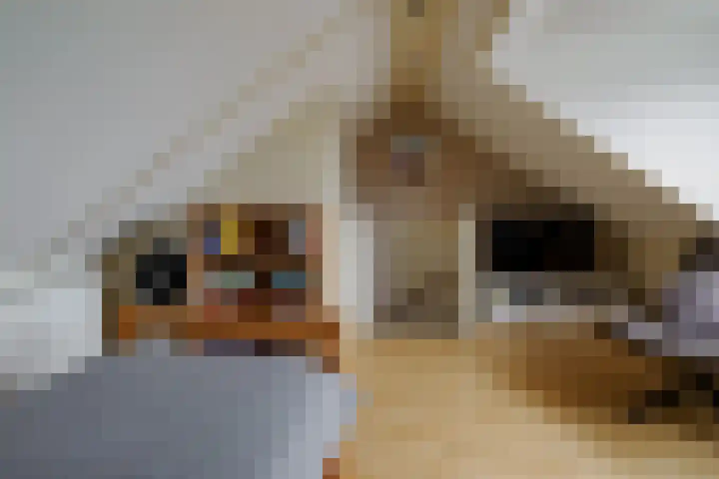 Johannes Kamphuisstraat 5 Vriezenveen thumbnail 30