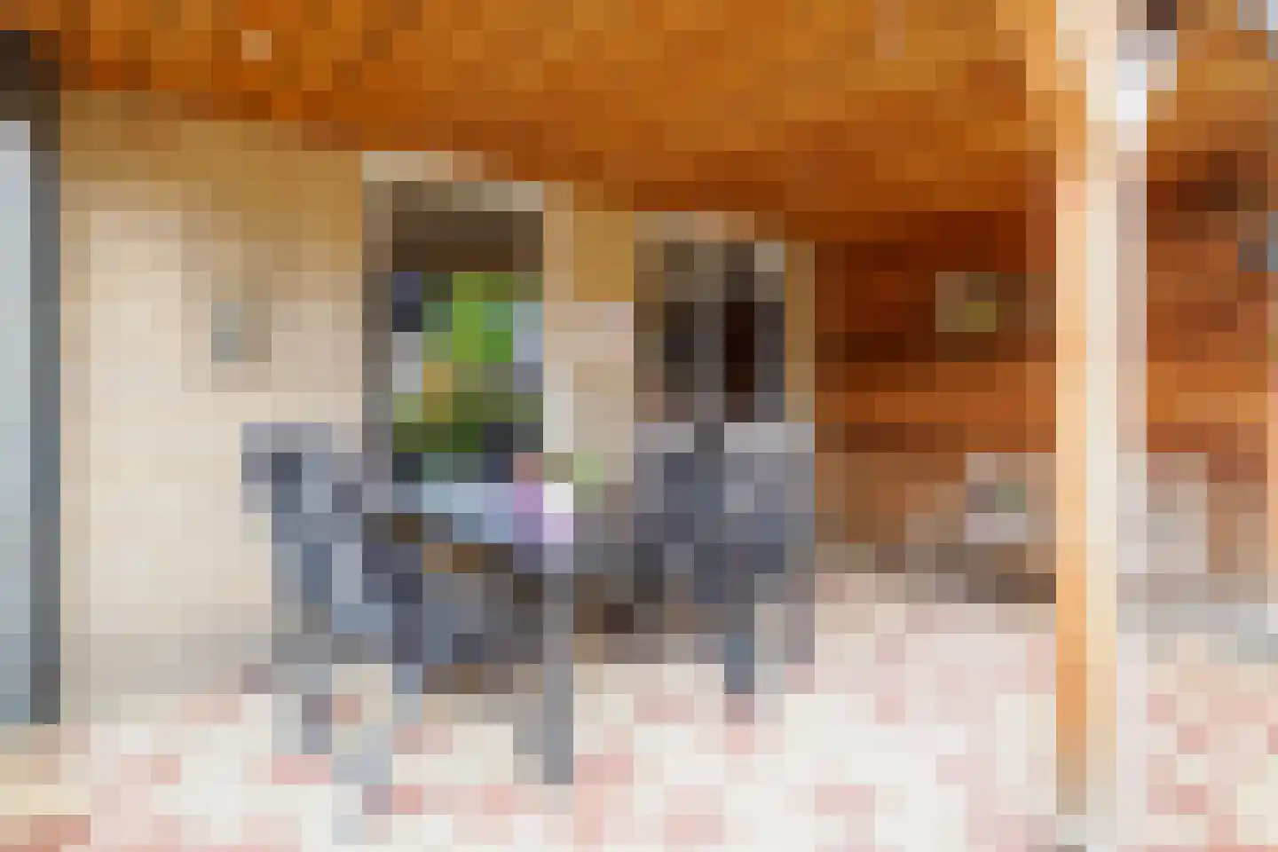 Johannes Kamphuisstraat 5 Vriezenveen thumbnail 31