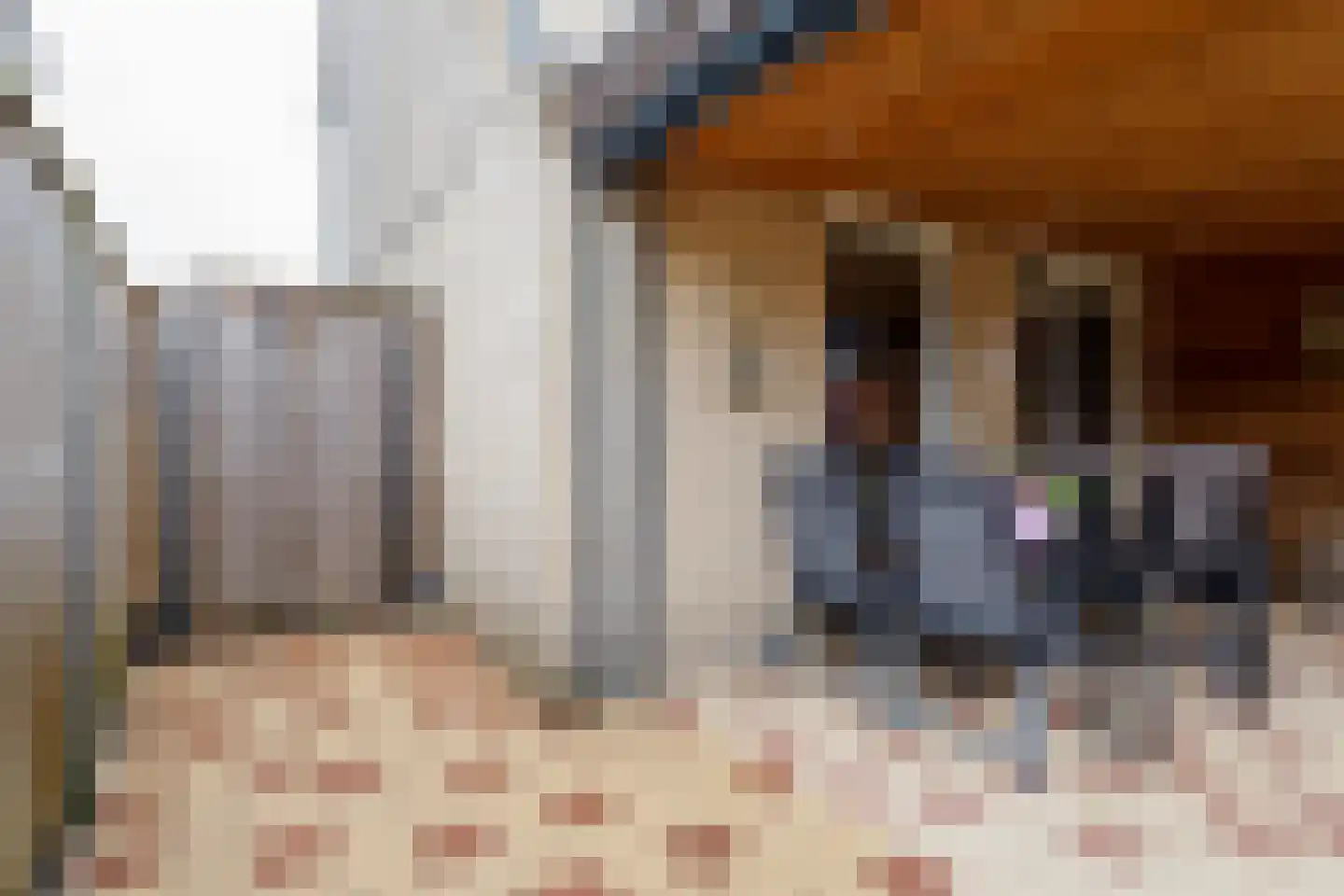 Johannes Kamphuisstraat 5 Vriezenveen thumbnail 32