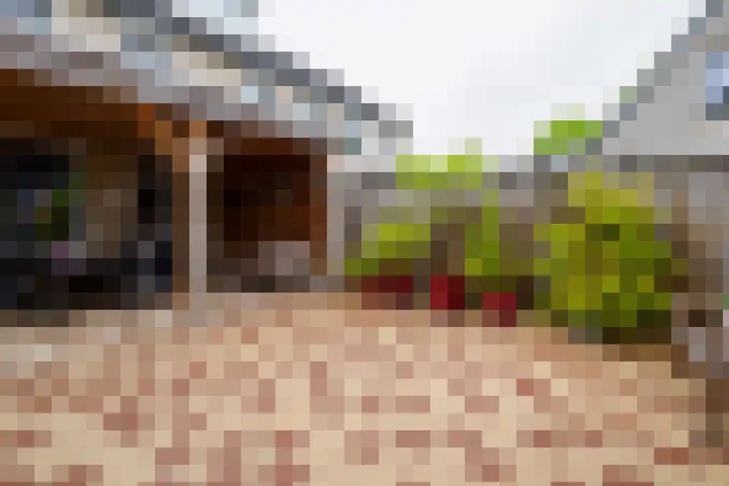 Johannes Kamphuisstraat 5 Vriezenveen thumbnail 33