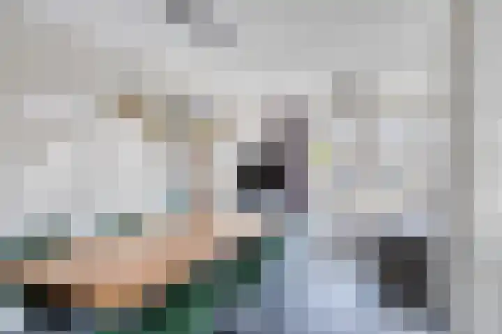 Johannes Keijzershof 5 Handel thumbnail 16