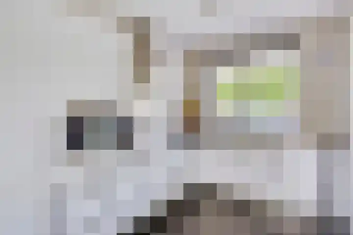 Johannes Keijzershof 5 Handel thumbnail 17
