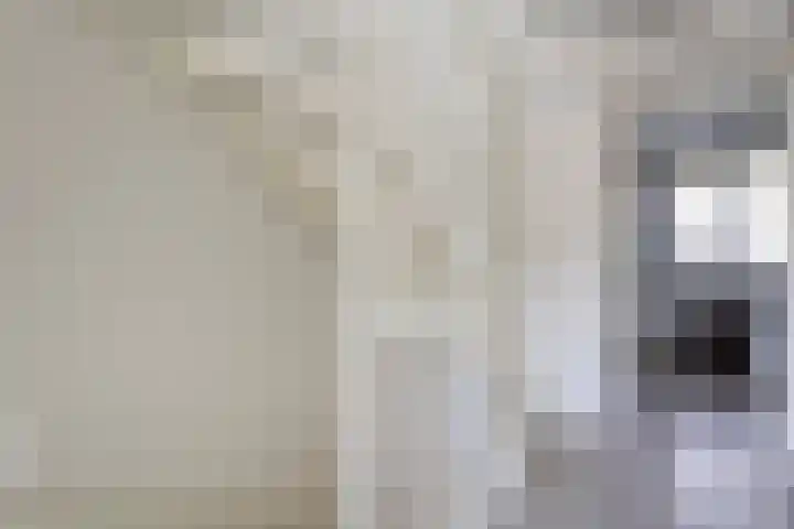Johannes Keijzershof 5 Handel thumbnail 20