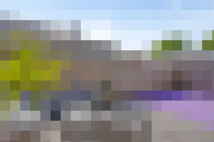 Johannes Keijzershof 5 Handel thumbnail 34
