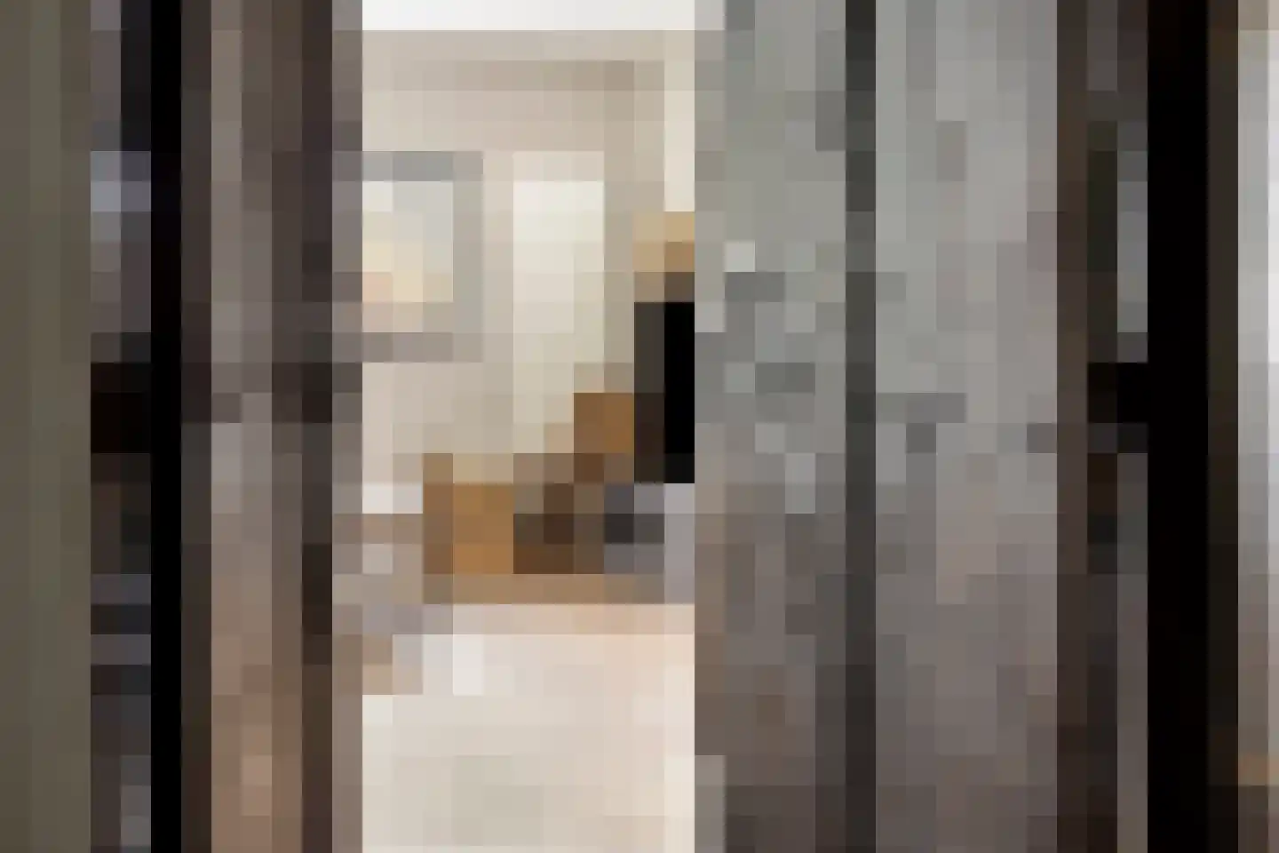 Johannes Klingenstraat 28 Best thumbnail 28