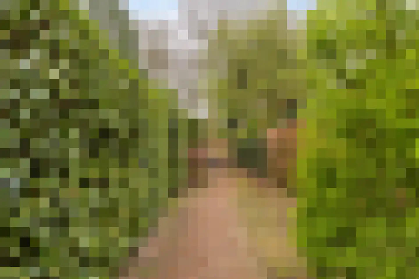 Johannes Klingenstraat 28 Best thumbnail 62
