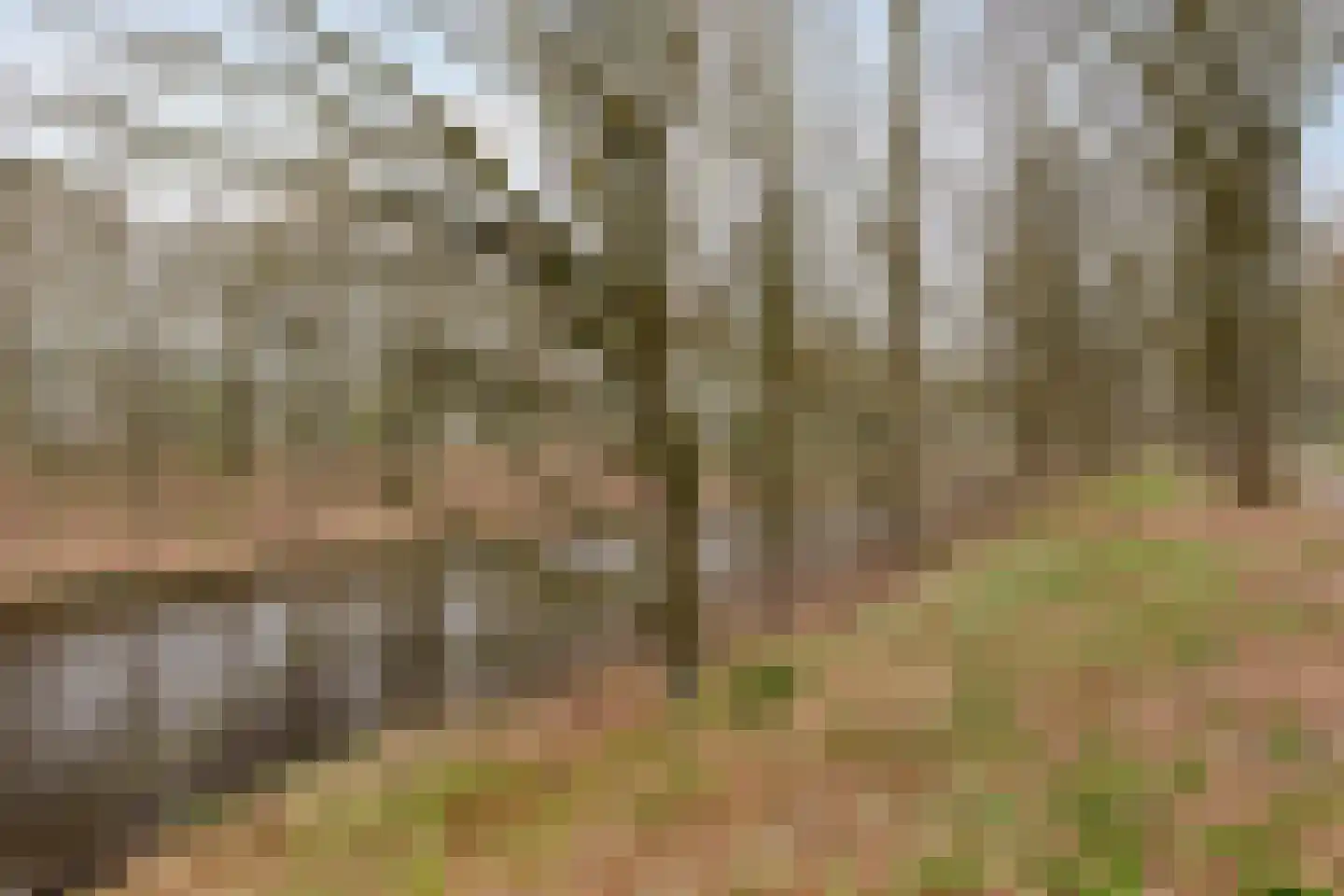 Johannes Klingenstraat 28 Best thumbnail 64