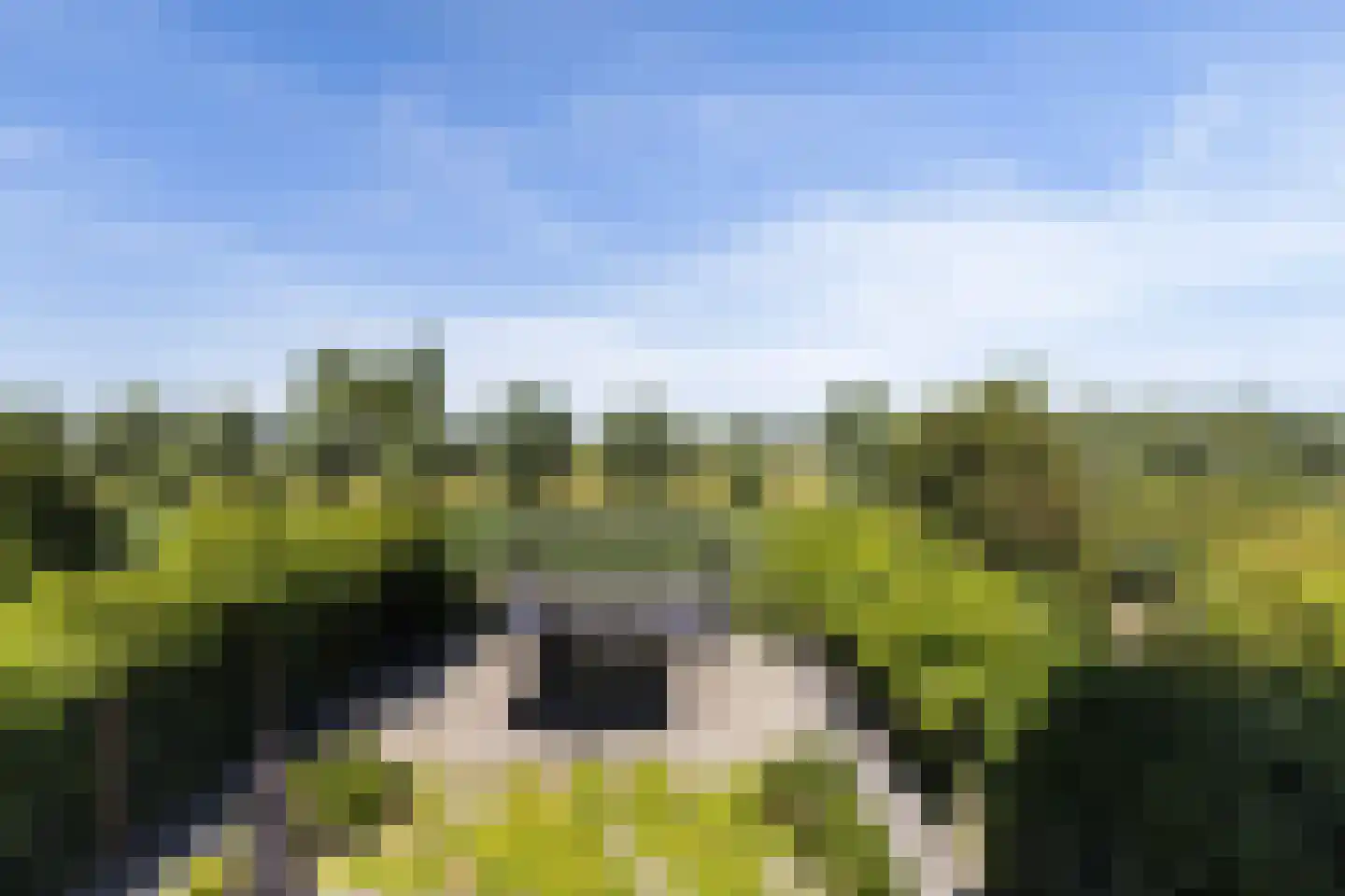 Johannes Kolfstraat 30 Westmaas thumbnail 41